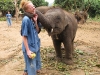 Chiang Mai - Baan Chang elephant sanctuary